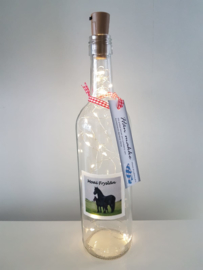 flessen lamp met led verlichting (paarden Moai Fryslân)