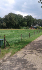 Landschap oude Sallandse boerderij aquarel schilderij