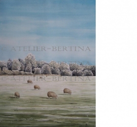 Aquarel winter schilderij: Schapen in de winter