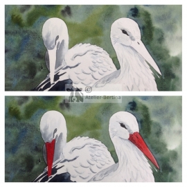 Stork watercolor painting