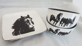 Servies (koe, paard, geit, enz)