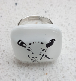 goat ring with glass application