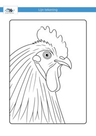 Lijnen tekening haan