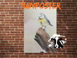 Koolmeesje tuinposter