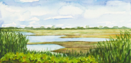 Zuidladermeer uiterwaarden aquarel schilderij