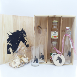 Friese paarden geschenken/cadeau pakket
