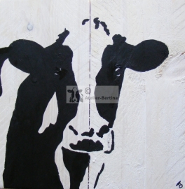 Cow on scaffold wood (indoor and outdoor