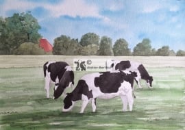 Cows watercolor painting