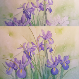 Irissen aquarel schilderij