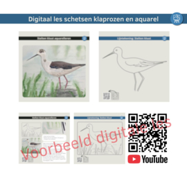 Les vogel kluut aquarel: Realtime proces tutorial video + werkbladen + lijntekening