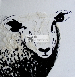 schaap acryl schilderij