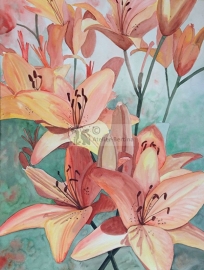 Liliums watercolor painting