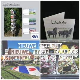 Iisboerderij Boereiis te Akkrum