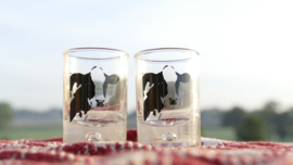 Shot glass cow