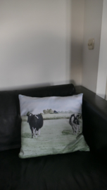 Cushion cow