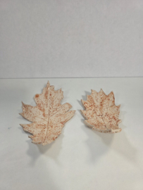 Set van 2 herfst bladeren schaaltje handgemaakt keramiek