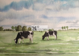 Cow watercouler painting