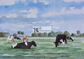 Cows watercolor paintingj