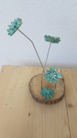 Bloem set keramiek