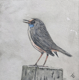 Blauw borstje vogel: Mini aquarel