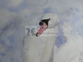 Swan Aquarell malerei