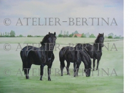 Friese paarden aquarel schilderij
