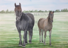 Paarden aquarel schilderijen