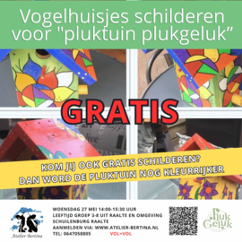 Zondag 27 mei 2026: Workshop vogelhuisjes pimpen voor pluktuin Raalte noord