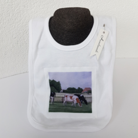 Cow bib