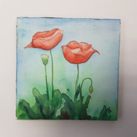 Klaprozen / Poppies: Mini aquarel