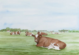 Roodbonte koeien aquarel schilderij