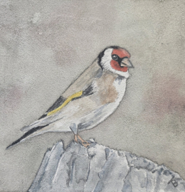 Putter vogel: Mini aquarel
