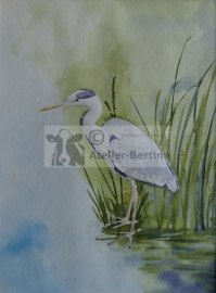 Heron watercolor painting