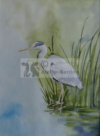 Reiger aquarel schilderij