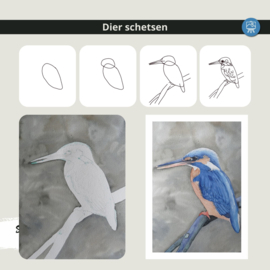 Les ijsvogel: werkbladen + lijntekening + kort realtime fragment