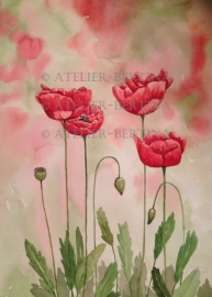 Poppies watercolor painting