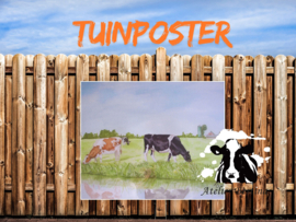 Grazende koeien tuinposter