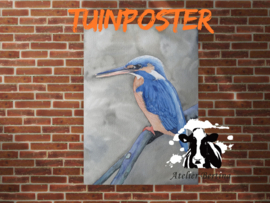 Ijsvogel tuinposter