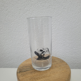 Zeehond longdrinkglas