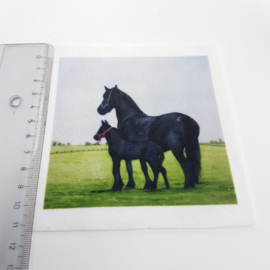 2  paarden stofje 10 cm