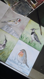 Putter vogel: Mini aquarel