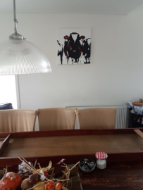 1-april 2019 tot augustus 2019 Geertuida hoeve