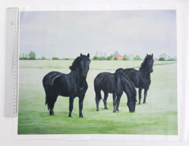 Paarden 38 x 48 cm stof