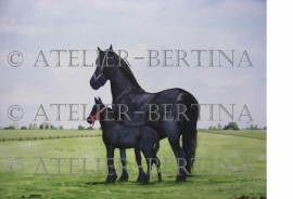 Fries paard met veulen aquarel schilderij