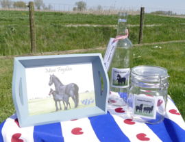 cadeau geschenken pakket friese paarden