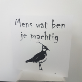 wenskaart: mens wat ben je prachtig