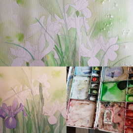 Les iris bloem aquarel: stappenplan tutorial video + werkbladen + lijntekening