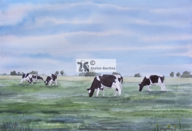 Cow watercolor painting