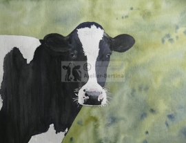 Cow watercolor painting