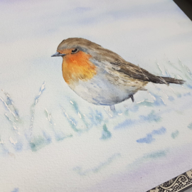 Roodborstje aquarel schilderij